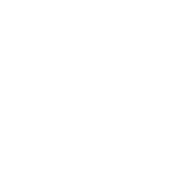 brillux.png