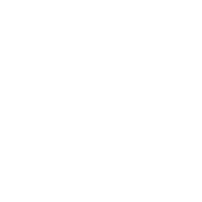 opus.png