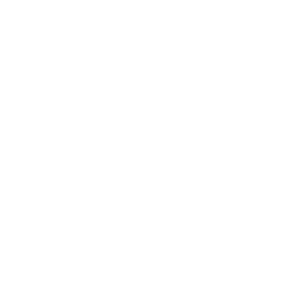 rheinzink.png